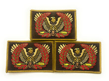 Load image into Gallery viewer, Eagle Rising Warrant Officer "I Walk On The Grass" patch