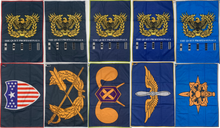 Load image into Gallery viewer, Eagle Rising Warrant Officer Waffle Golf Towel and Divot Tool with Eagle Rising Magnetic Ball Marker The Quiet Professionals