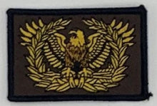 Load image into Gallery viewer, Eagle Rising Warrant Officer "I DRINK AND I KNOW THINGs" Glow In The Dark Morale Patch