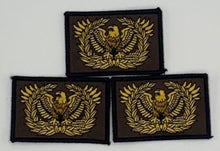 Load image into Gallery viewer, Eagle Rising Warrant Officer "I DRINK AND I KNOW THINGs" Glow In The Dark Morale Patch