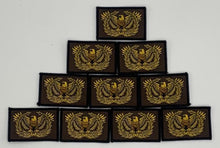 Load image into Gallery viewer, Eagle Rising Warrant Officer "I DRINK AND I KNOW THINGs" Glow In The Dark Morale Patch