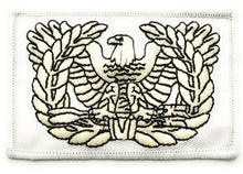 Load image into Gallery viewer, Eagle Rising Warrant Officer "GLOWBIRDS" Glow In The Dark Patch
