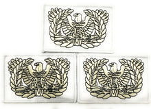 Load image into Gallery viewer, Eagle Rising Warrant Officer "GLOWBIRDS" Glow In The Dark Patch
