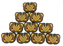 Load image into Gallery viewer, Eagle Rising Warrant Officer Colored PVC Rubber Morale Patch

