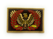 Load image into Gallery viewer, Eagle Rising Warrant Officer "I Walk On The Grass" patch
