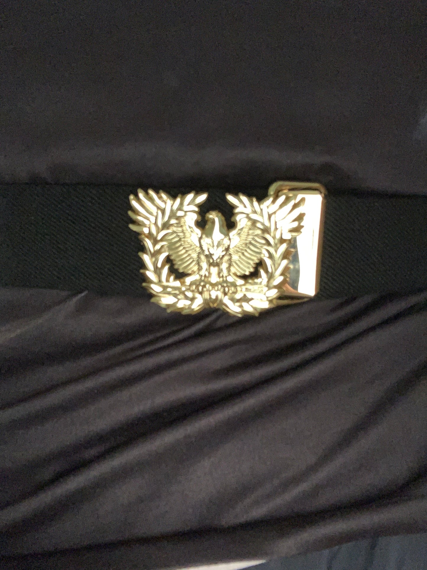 Warrant Officer Eagle Rising Mini Belt Buckles