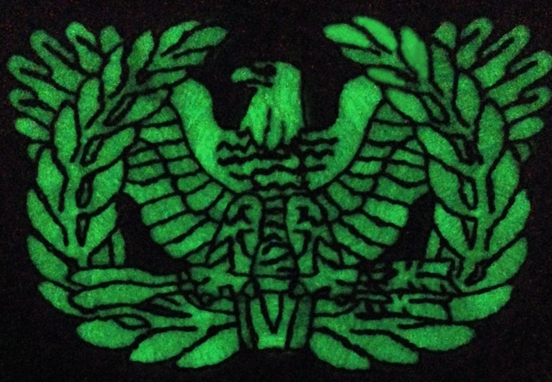 Eagle Rising Warrant Officer "GLOWBIRDS" Glow In The Dark Patch