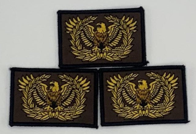 Warrant Officer Eagle Rising "I DRINK AND I KNOW THINGs" Glow In The Dark Morale Patch